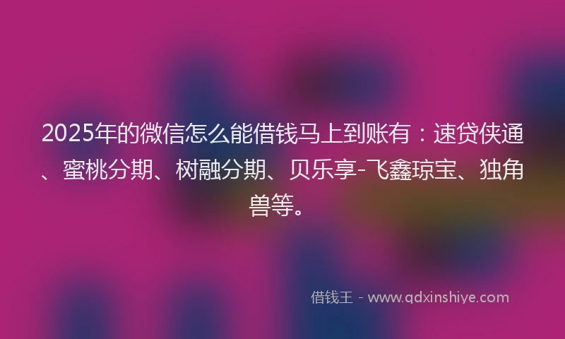2025年的微信怎么能借钱马上到账有：速贷侠通、蜜桃分期、树融分期、贝乐享-飞鑫琼宝、独角兽等。