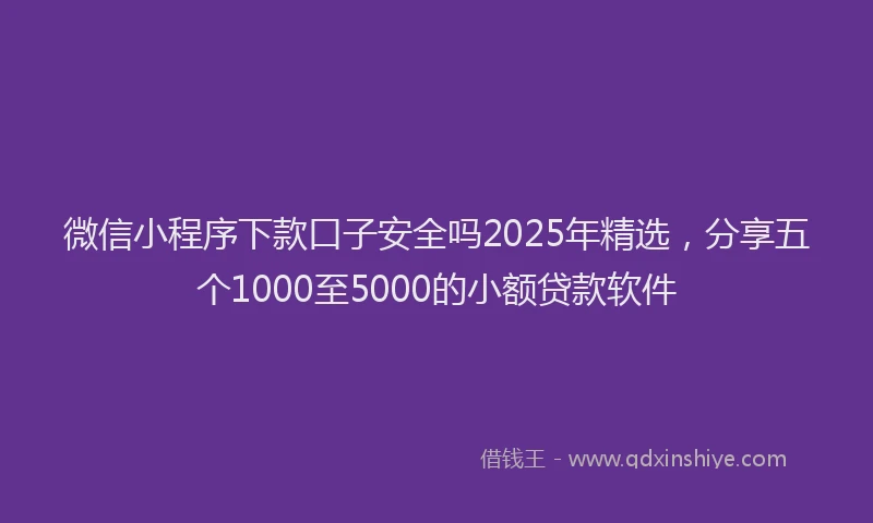微信小程序下款口子安全吗2025年精选，分享五个1000至5000的小额贷款软件