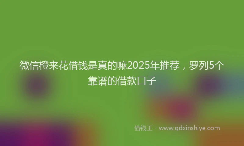 微信橙来花借钱是真的嘛2025年推荐，罗列5个靠谱的借款口子