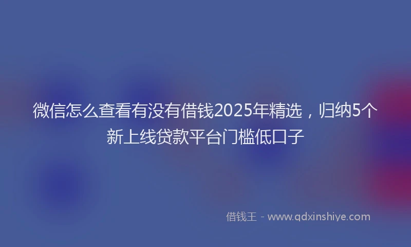 微信怎么查看有没有借钱2025年精选，归纳5个新上线贷款平台门槛低口子