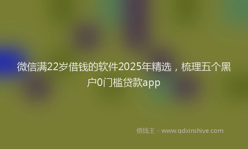 微信满22岁借钱的软件2025年精选，梳理五个黑户0门槛贷款app