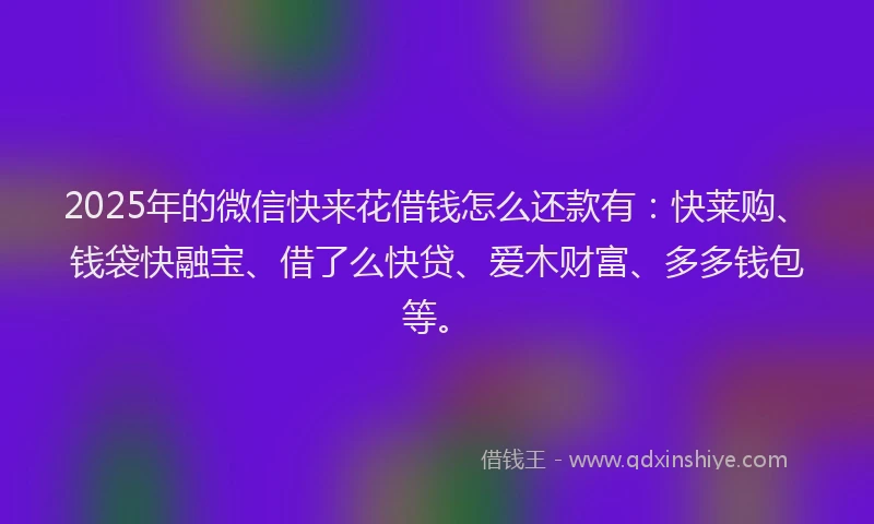 2025年的微信快来花借钱怎么还款有：快莱购、钱袋快融宝、借了么快贷、爱木财富、多多钱包等。