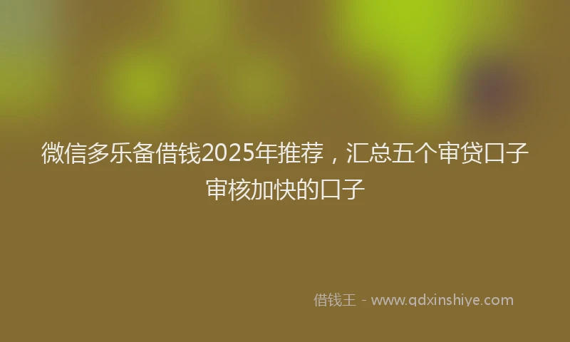 微信多乐备借钱2025年推荐，汇总五个审贷口子审核加快的口子