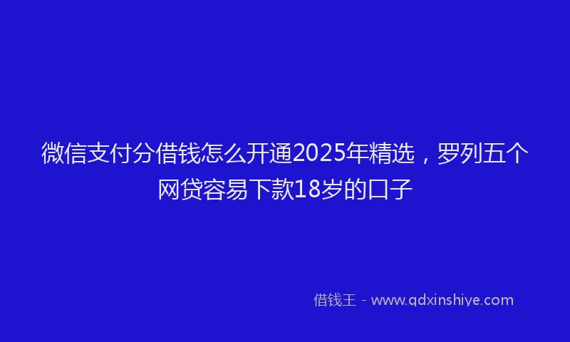 微信支付分借钱怎么开通2025年精选，罗列五个网贷容易下款18岁的口子