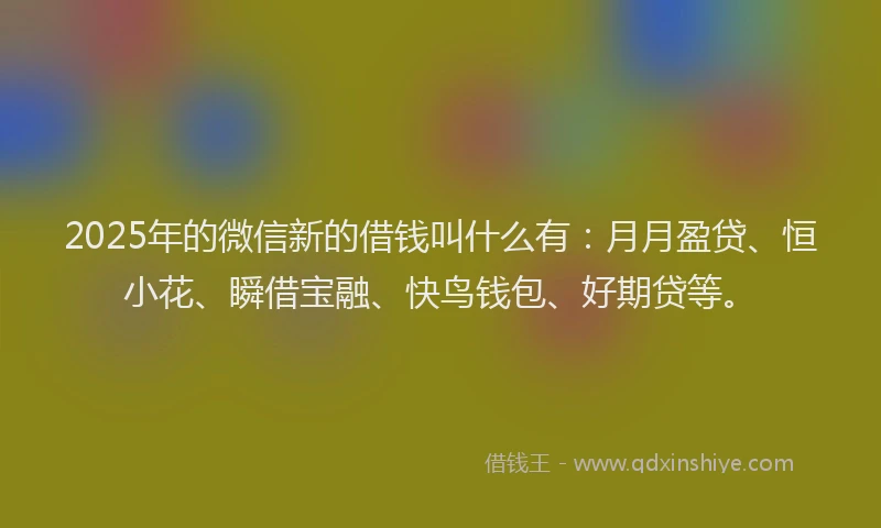 2025年的微信新的借钱叫什么有：月月盈贷、恒小花、瞬借宝融、快鸟钱包、好期贷等。