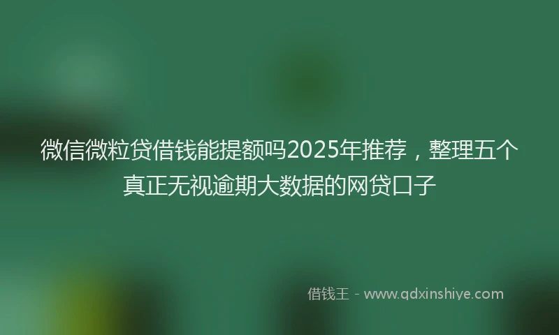 微信微粒贷借钱能提额吗2025年推荐，整理五个真正无视逾期大数据的网贷口子