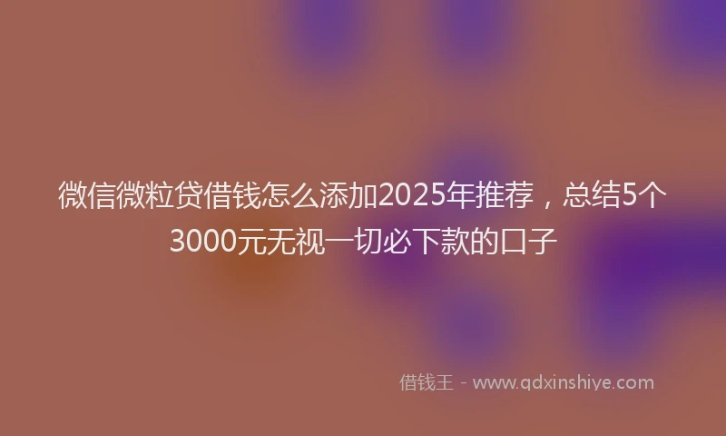 微信微粒贷借钱怎么添加2025年推荐，总结5个3000元无视一切必下款的口子