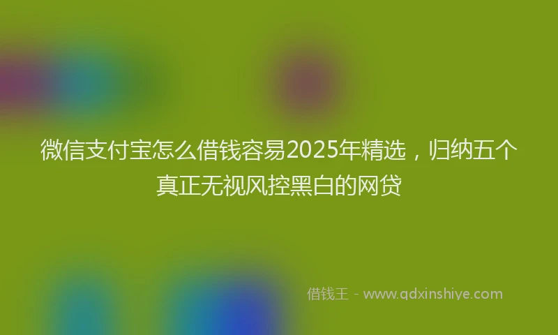 微信支付宝怎么借钱容易2025年精选，归纳五个真正无视风控黑白的网贷