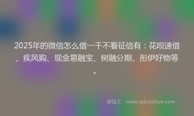 2025年的微信怎么借一千不看征信有：花呗速借、疾风购、现金易融宝、树融分期、彤伊好物等。