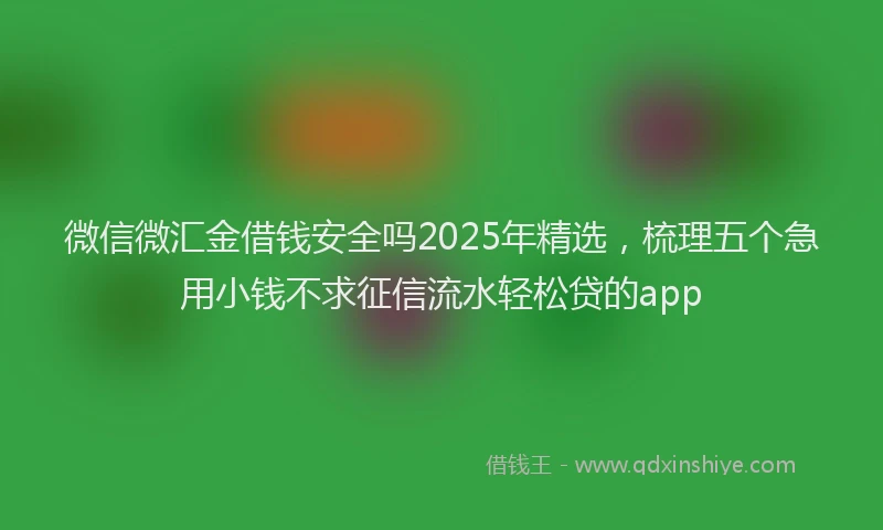 微信微汇金借钱安全吗2025年精选，梳理五个急用小钱不求征信流水轻松贷的app
