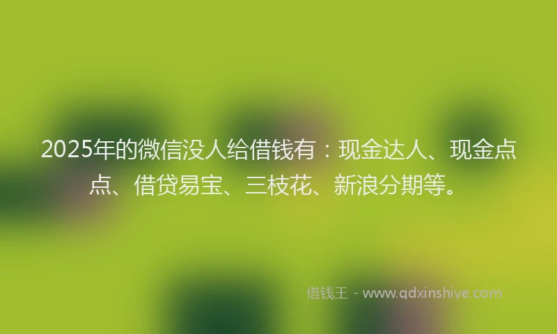 2025年的微信没人给借钱有：现金达人、现金点点、借贷易宝、三枝花、新浪分期等。