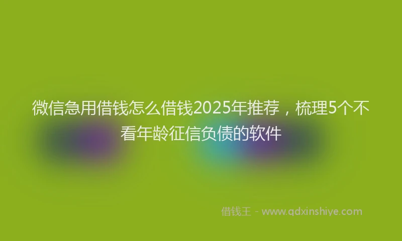 微信急用借钱怎么借钱2025年推荐，梳理5个不看年龄征信负债的软件