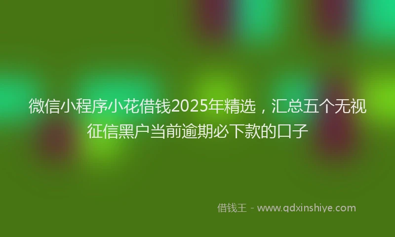 微信小程序小花借钱2025年精选，汇总五个无视征信黑户当前逾期必下款的口子