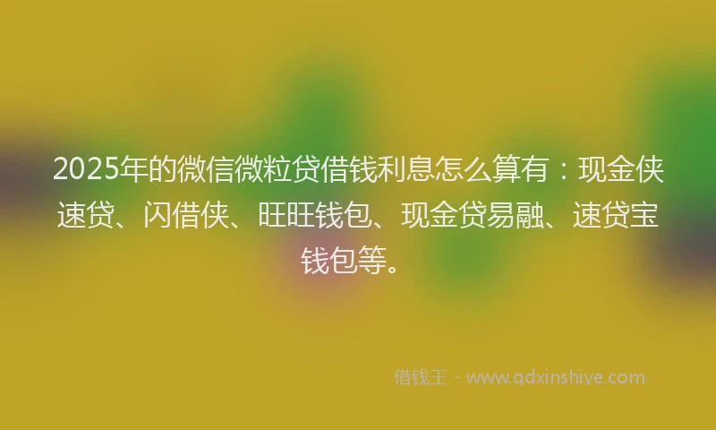 2025年的微信微粒贷借钱利息怎么算有：现金侠速贷、闪借侠、旺旺钱包、现金贷易融、速贷宝钱包等。