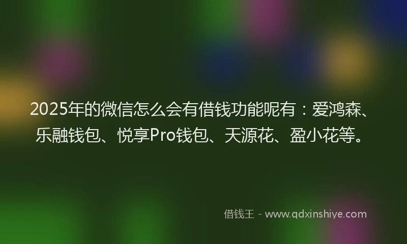 2025年的微信怎么会有借钱功能呢有：爱鸿森、乐融钱包、悦享Pro钱包、天源花、盈小花等。