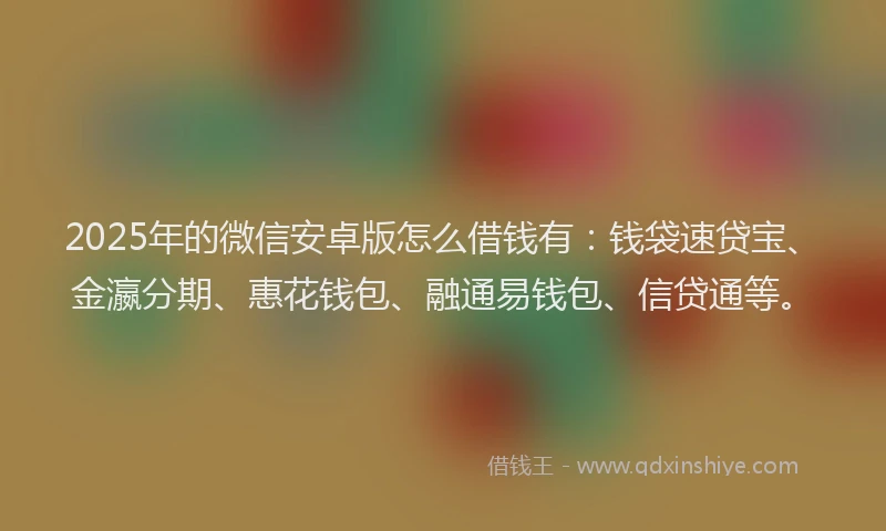 2025年的微信安卓版怎么借钱有：钱袋速贷宝、金瀛分期、惠花钱包、融通易钱包、信贷通等。