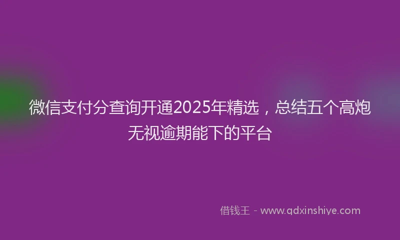 微信支付分查询开通2025年精选，总结五个高炮无视逾期能下的平台