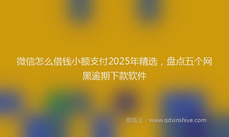 微信怎么借钱小额支付2025年精选，盘点五个网黑逾期下款软件