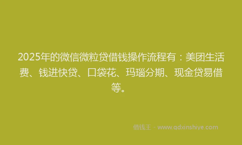 2025年的微信微粒贷借钱操作流程有：美团生活费、钱进快贷、口袋花、玛瑙分期、现金贷易借等。