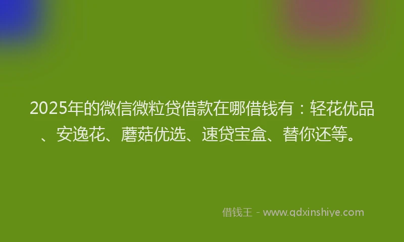 2025年的微信微粒贷借款在哪借钱有：轻花优品、安逸花、蘑菇优选、速贷宝盒、替你还等。