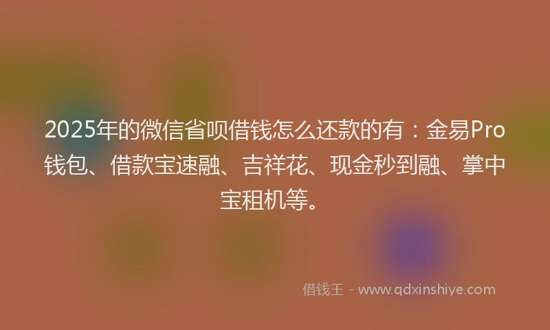 2025年的微信省呗借钱怎么还款的有：金易Pro钱包、借款宝速融、吉祥花、现金秒到融、掌中宝租机等。