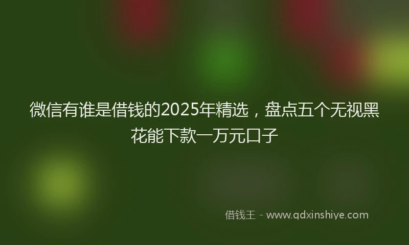 微信有谁是借钱的2025年精选，盘点五个无视黑花能下款一万元口子