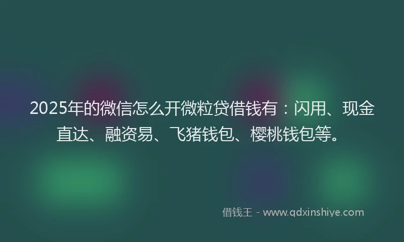 2025年的微信怎么开微粒贷借钱有：闪用、现金直达、融资易、飞猪钱包、樱桃钱包等。
