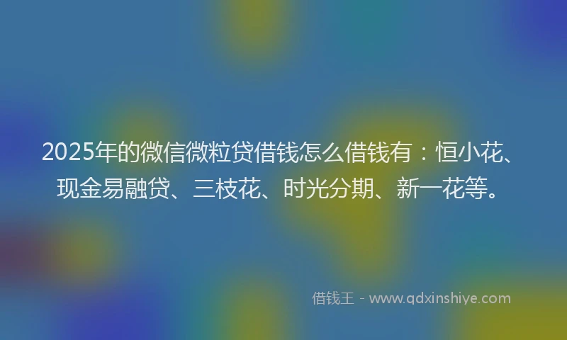 2025年的微信微粒贷借钱怎么借钱有：恒小花、现金易融贷、三枝花、时光分期、新一花等。