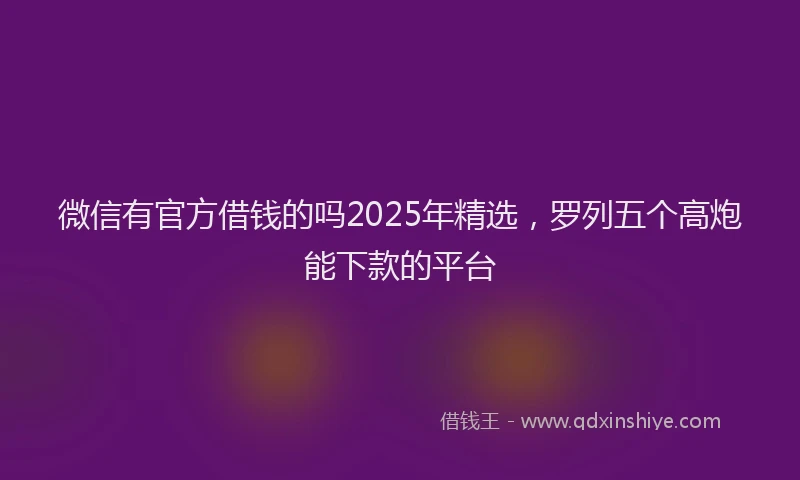 微信有官方借钱的吗2025年精选，罗列五个高炮能下款的平台