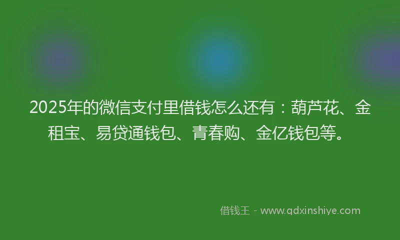2025年的微信支付里借钱怎么还有：葫芦花、金租宝、易贷通钱包、青春购、金亿钱包等。