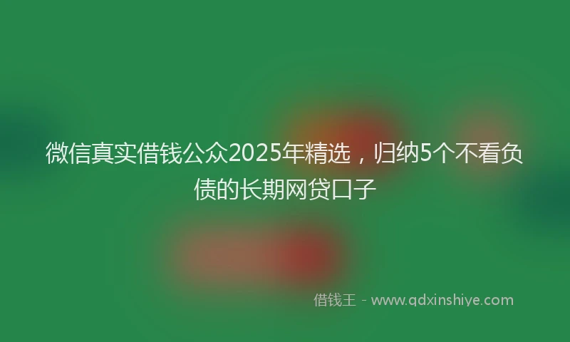 微信真实借钱公众2025年精选，归纳5个不看负债的长期网贷口子