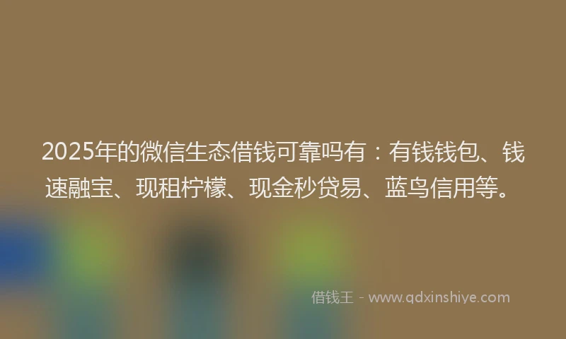 2025年的微信生态借钱可靠吗有：有钱钱包、钱速融宝、现租柠檬、现金秒贷易、蓝鸟信用等。