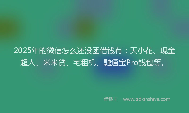 2025年的微信怎么还没团借钱有：天小花、现金超人、米米贷、宅租机、融通宝Pro钱包等。