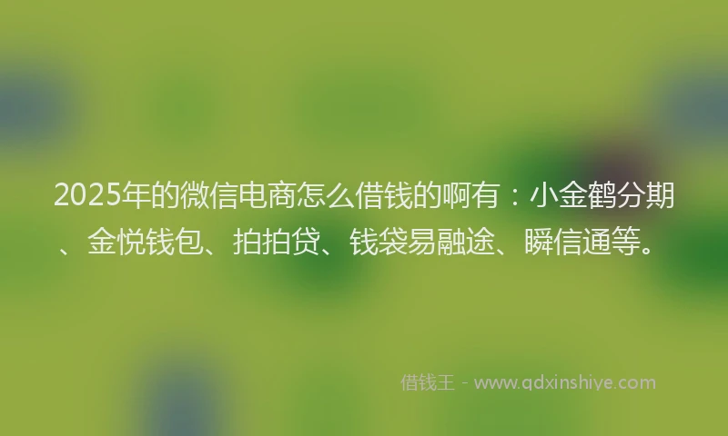 2025年的微信电商怎么借钱的啊有：小金鹤分期、金悦钱包、拍拍贷、钱袋易融途、瞬信通等。