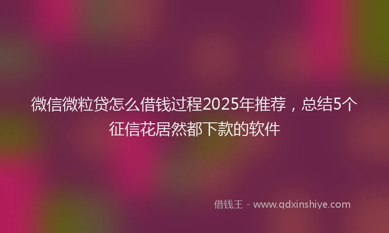 微信微粒贷怎么借钱过程2025年推荐，总结5个征信花居然都下款的软件