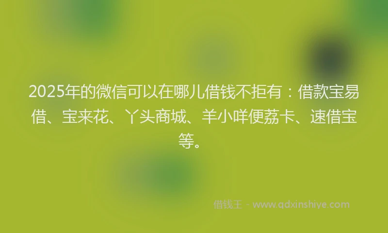 2025年的微信可以在哪儿借钱不拒有：借款宝易借、宝来花、丫头商城、羊小咩便荔卡、速借宝等。
