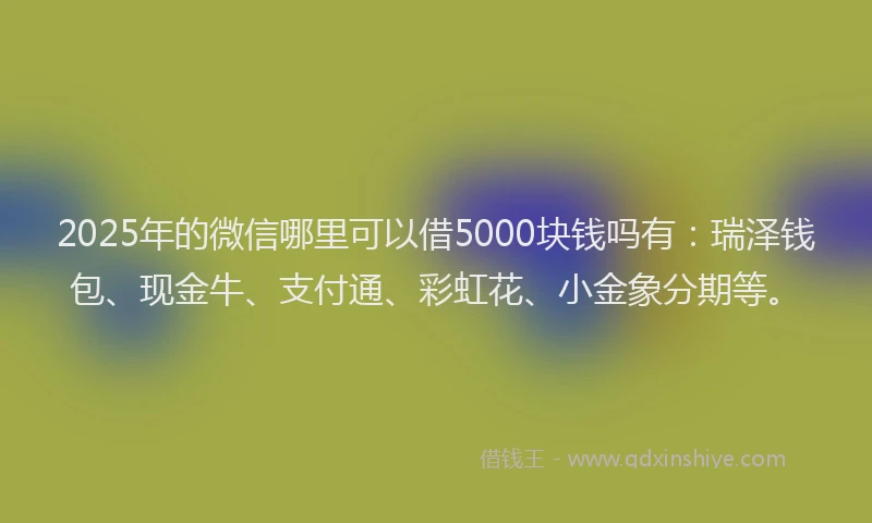 2025年的微信哪里可以借5000块钱吗有：瑞泽钱包、现金牛、支付通、彩虹花、小金象分期等。
