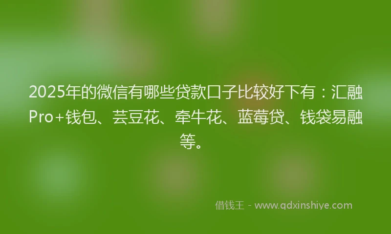2025年的微信有哪些贷款口子比较好下有：汇融Pro+钱包、芸豆花、牵牛花、蓝莓贷、钱袋易融等。