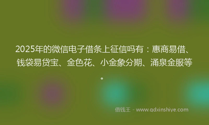 2025年的微信电子借条上征信吗有：惠商易借、钱袋易贷宝、金色花、小金象分期、涌泉金服等。