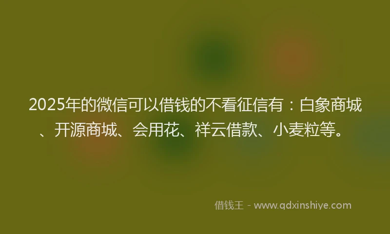2025年的微信可以借钱的不看征信有：白象商城、开源商城、会用花、祥云借款、小麦粒等。