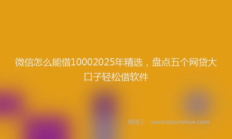 微信怎么能借10002025年精选，盘点五个网贷大口子轻松借软件