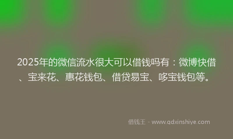 2025年的微信流水很大可以借钱吗有：微博快借、宝来花、惠花钱包、借贷易宝、哆宝钱包等。