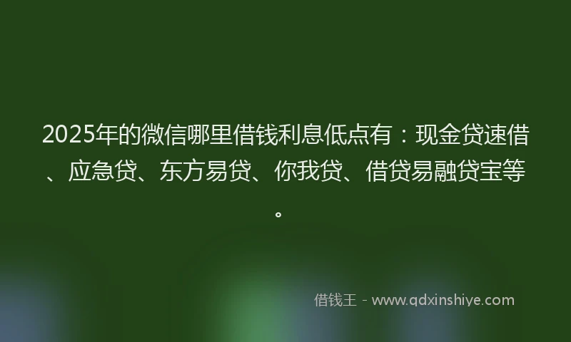 2025年的微信哪里借钱利息低点有：现金贷速借、应急贷、东方易贷、你我贷、借贷易融贷宝等。