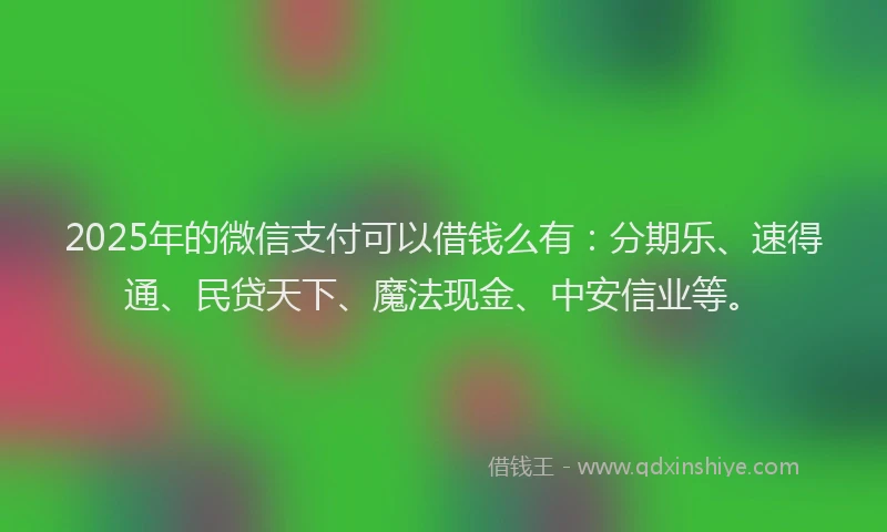 2025年的微信支付可以借钱么有：分期乐、速得通、民贷天下、魔法现金、中安信业等。