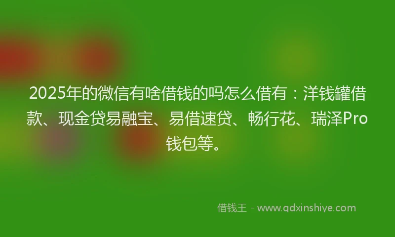 2025年的微信有啥借钱的吗怎么借有：洋钱罐借款、现金贷易融宝、易借速贷、畅行花、瑞泽Pro钱包等。