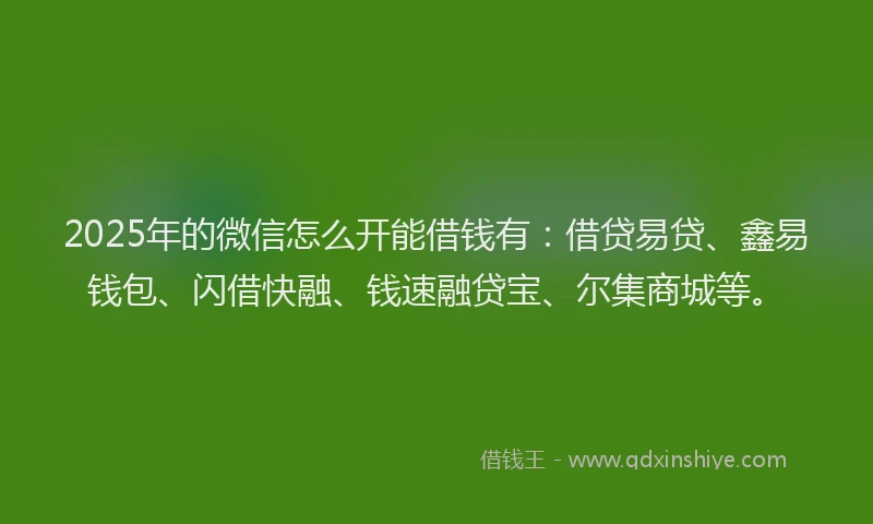 2025年的微信怎么开能借钱有：借贷易贷、鑫易钱包、闪借快融、钱速融贷宝、尔集商城等。