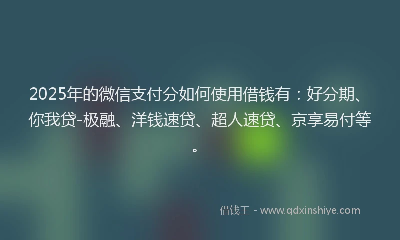 2025年的微信支付分如何使用借钱有：好分期、你我贷-极融、洋钱速贷、超人速贷、京享易付等。