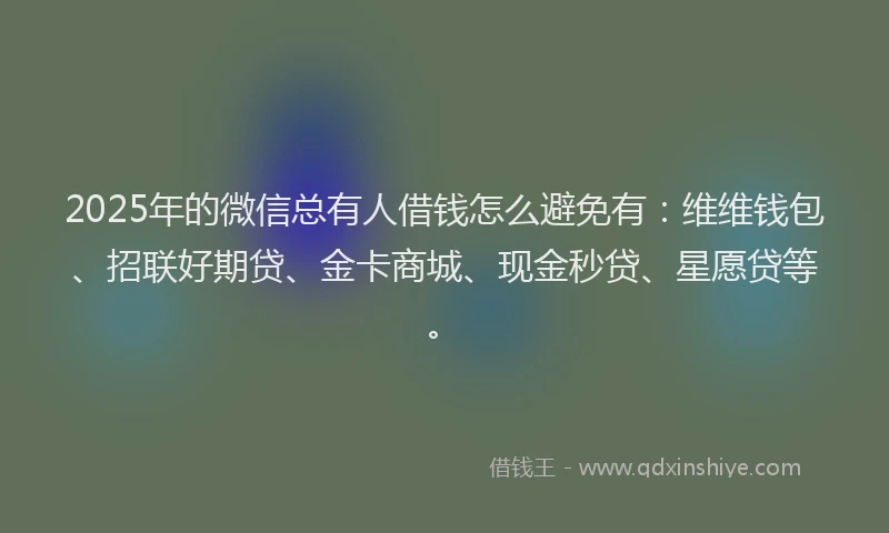 2025年的微信总有人借钱怎么避免有：维维钱包、招联好期贷、金卡商城、现金秒贷、星愿贷等。