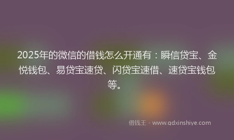 2025年的微信的借钱怎么开通有：瞬信贷宝、金悦钱包、易贷宝速贷、闪贷宝速借、速贷宝钱包等。