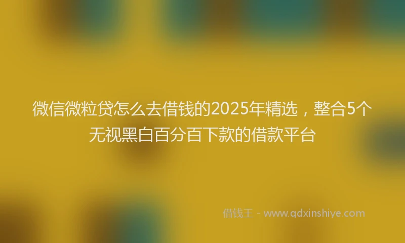 微信微粒贷怎么去借钱的2025年精选，整合5个无视黑白百分百下款的借款平台